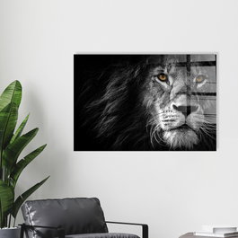 Wallity Cuadro Decorativo de Vidrio Templado UV-008 Multicolor 70 x 100 cm